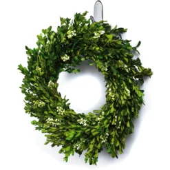 Command Medium Clear Hooks With Clear Strips -COMMAND Sales Store 12804377 3694832955539829