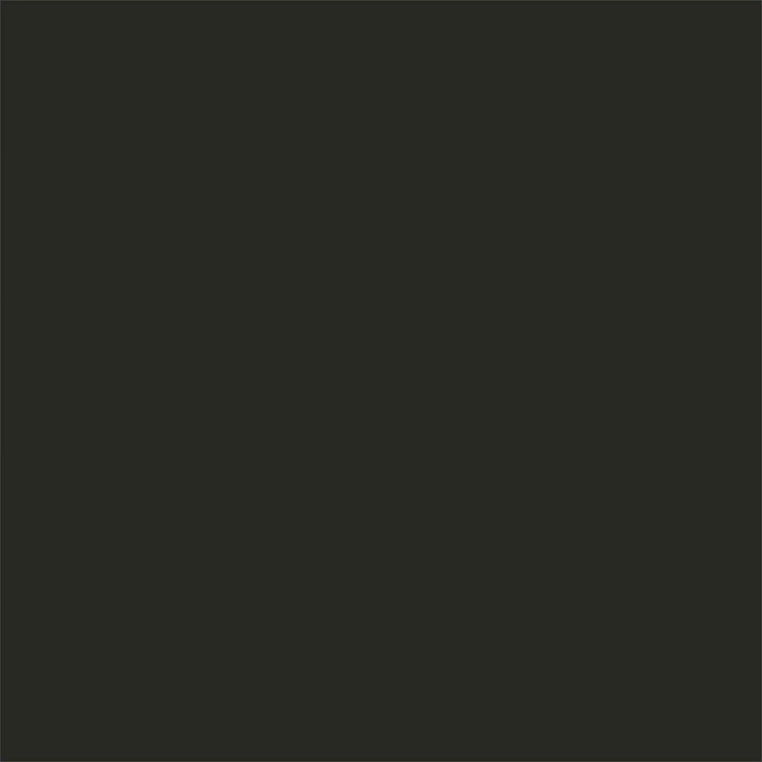 Thompsons 10 Year Roof Seal - Black - 2.5L 2 Thompsons 10 Year Roof Seal - Black - 2.5L - Image 2