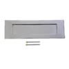 Victorian Chrome Letter Plate - 307 X 96mm