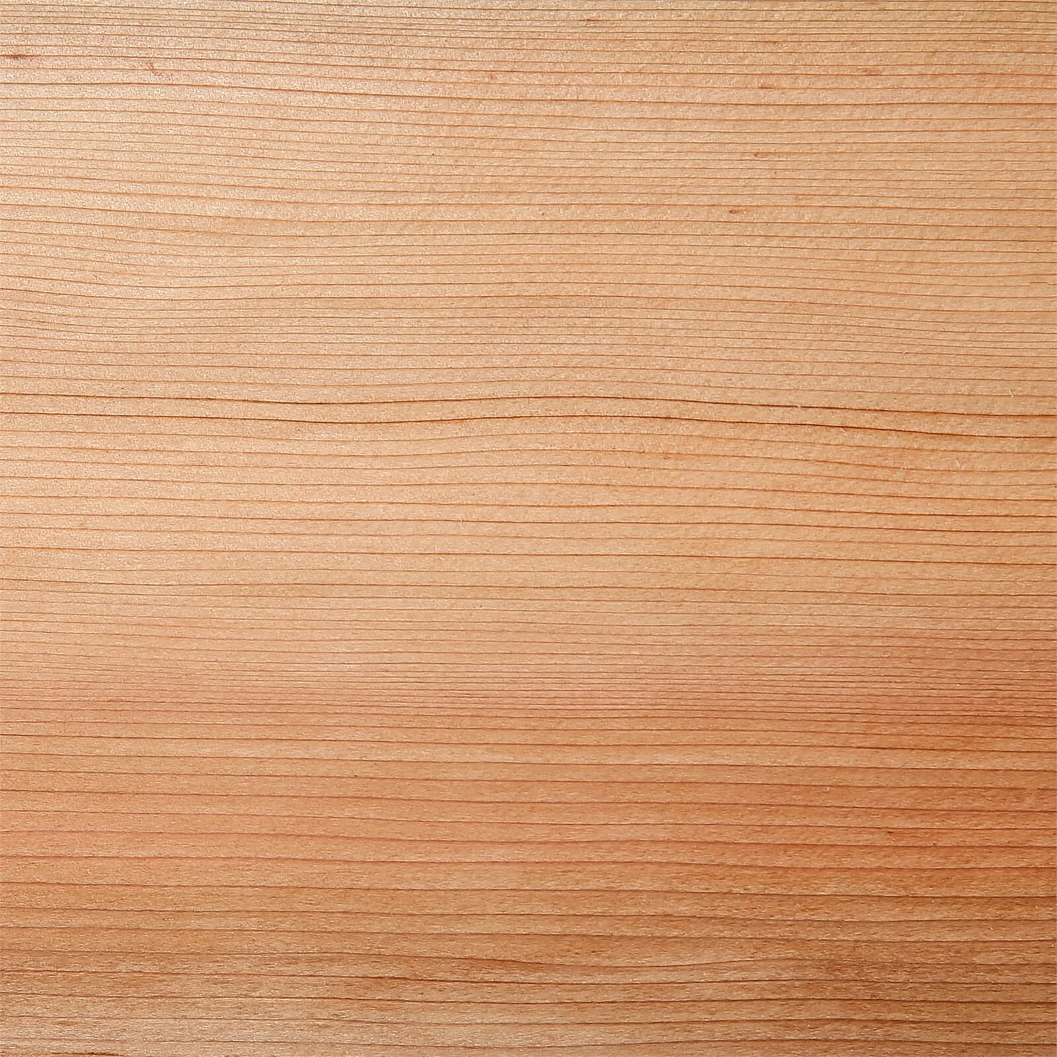 None Western Red Cedar SertiWOOD Cladding Tongue And Groove TGV (6 Pack) 1.48m2 3 None Western Red Cedar SertiWOOD Cladding Tongue And Groove TGV (6 Pack) 1.48m2 - Image 3