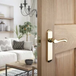 Sandleford Wentworth Latch Lever Set - Polished Brass -COMMAND Sales Store 12836090 6814832953768662
