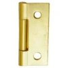 Butt Hinge Steel 50mm Electro Brass - 2 Pack