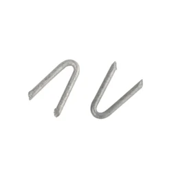 Homebase Galvanised Wire Staples 25mm 250g
